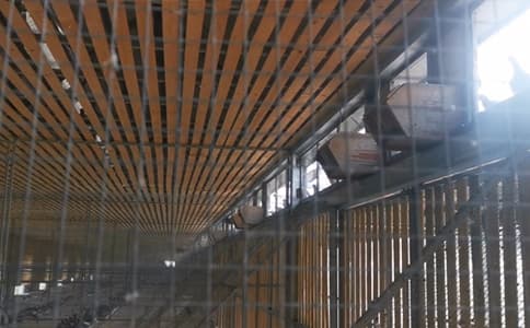 RFID設備和定制高頻天線是如何在信鴿競賽中發揮作用的